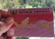 Apa itu KTP Pink? Berikut Fungsi dan Cara Membuatnya