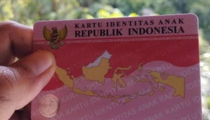 Apa itu KTP Pink? Berikut Fungsi dan Cara Membuatnya