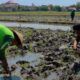 Keluarga Desak Semua Pelaku Pembunuhan Kacab BRI Dijerat Pasal Pembunuhan Berencana