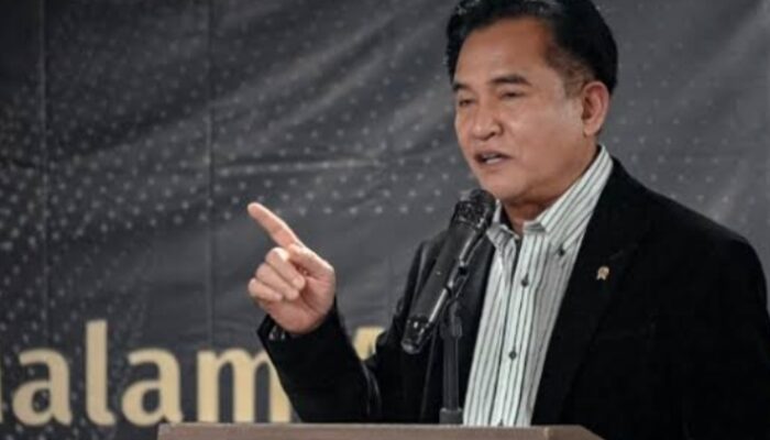 Yusril Klaim Tak Ada Larangan Pusat Soal Nobar “Pesta Babi”