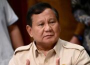 Rapat Maraton Akhir Pekan, Prabowo Soroti Penguatan Penegakan Hukum 