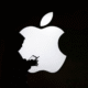 Apple Security