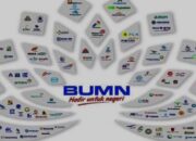 Kontroversi WNA Pimpin BUMN: Efesiensi atau Ancaman Nasionalisme?