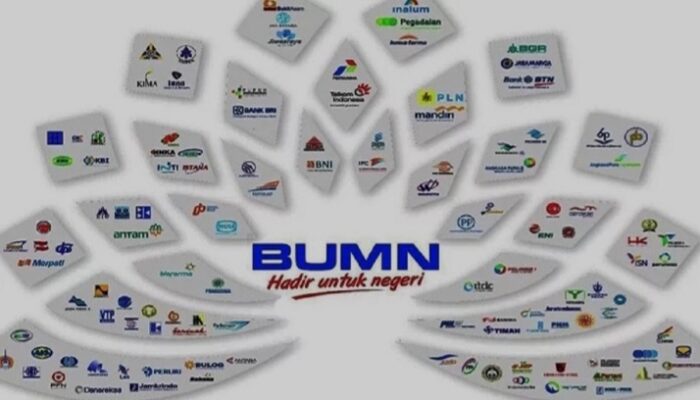Klaim Tanpa PHK, Danantara Bubarkan 167 BUMN