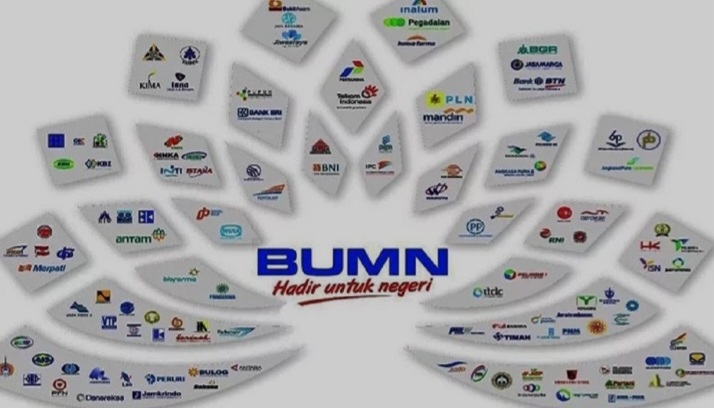 Kontroversi WNA Pimpin BUMN: Efesiensi atau Ancaman Nasionalisme?