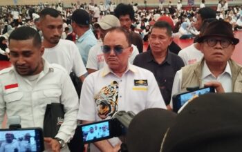 Haidar Alwi
