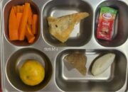 BGN Sidak Terkait Viral Menu Pangsit dalam MBG di SDN Kota Depok