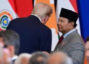 Bos Kadin Nilai Tarif Resiprokal 19% AS untuk RI Sudah Kompetitif