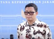 DJP Akui Transformasi Digital Belum Optimal: Baru 5,7 Juta Wajib Pajak Aktif Gunakan Coretax