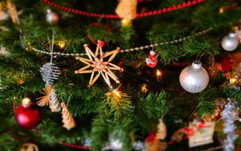 Natal (1)
