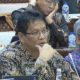Purbaya Yudhi Sadewa (1)