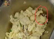 Gegara Pusing Lihat Banyak Bermasalah, Artis Kritik MBG