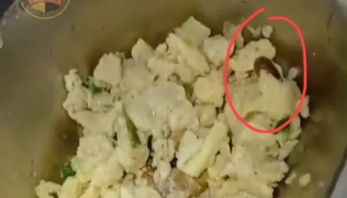 Gegara Pusing Lihat Banyak Bermasalah, Artis Kritik MBG