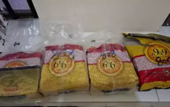 BNN Bongkar Jaringan Sabu Sumbar–Banten, 8 Kg Barang Bukti Disita
