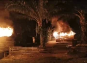 Diduga Sarang Narkoba, Puluhan Emak-emak Bakar 2 Rumah