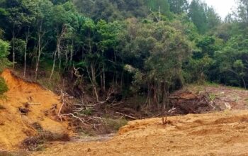 Hutan Lindung di Kabupaten Gowa