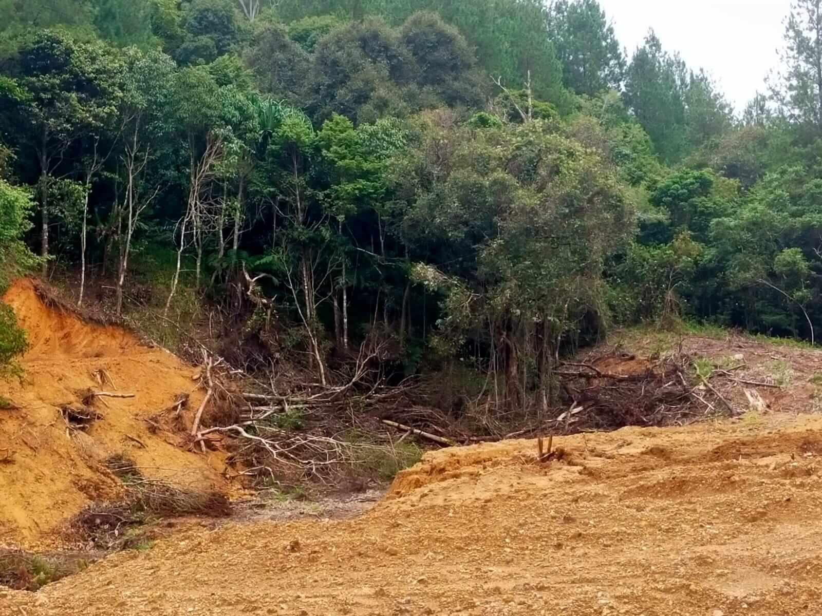 Hutan Lindung di Kabupaten Gowa