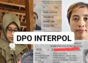 BNN Ringkus Buronan Interpol Dewi Astutik di Kamboja, Dalang Penyelundupan Sabu Rp 5 Triliun