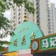 Ratusan Tahun Bertahan: Inilah Masjid Haitou, Saksi Bisu Adaptasi Islam di Tengah Modernisasi Tiongkok