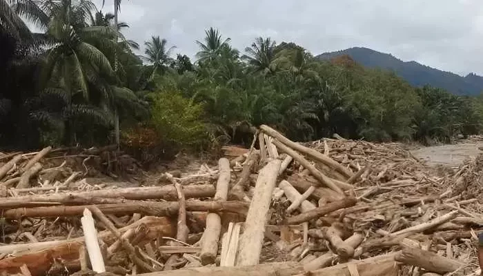 Polri dan Kejagung Bidik Dugaan Kejahatan Lingkungan di Balik Banjir Sumatra