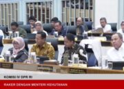 DPR Desak Menteri Kehutanan Mundur, Raja Juli: Evaluasi Hak Presiden