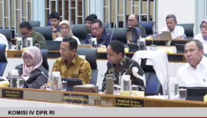 DPR Desak Menteri Kehutanan Mundur, Raja Juli: Evaluasi Hak Presiden