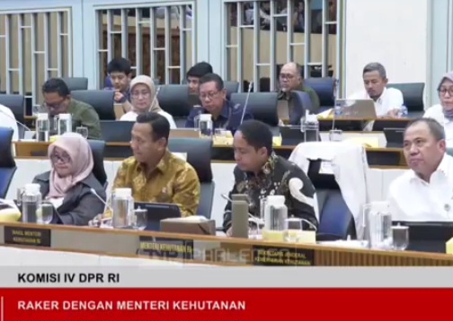 Rapat komisi 4 DPR dan kemenhut