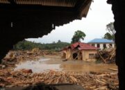 Polri dan Kejagung Ungkap Dugaan Kejahatan Lingkungan Terkait Gelondongan Kayu Banjir Sumatra