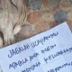 Teror Bangkai Ayam Menyasar Aktivis dan Konten Kreator