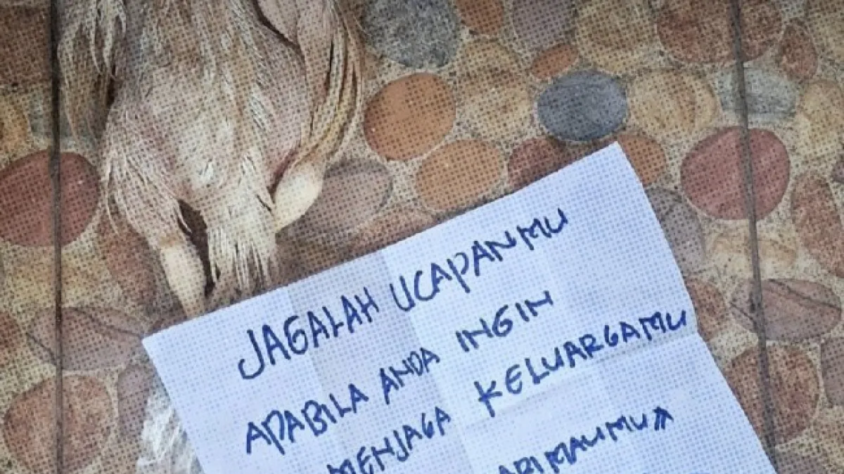Teror Bangkai Ayam Menyasar Aktivis dan Konten Kreator