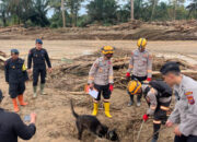 K-9 Identifikasi Titik Tertimbun Korban Longsor di Sibolga Kota