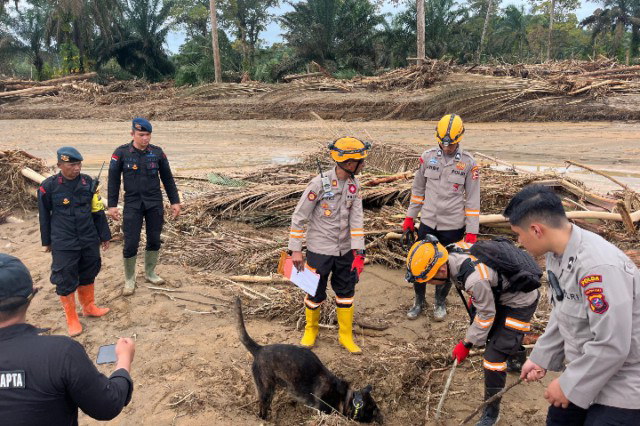 K-9 Identifikasi Titik Tertimbun Korban Longsor di Sibolga Kota