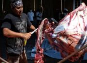 Alasan Penjual Daging Jabodetabek Setop Berjualan