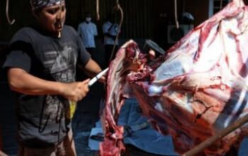 Alasan Penjual Daging Jabodetabek Setop Berjualan
