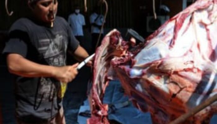 Harga Pangan Nasional Terbaru: Daging, Cabai dan Beras Masih Tinggi