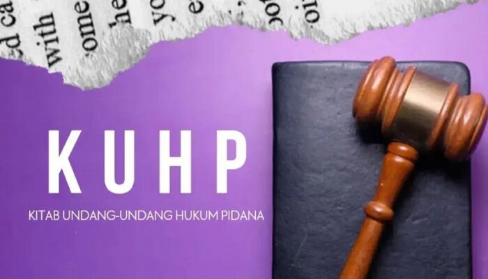 Risiko Kriminalisasi Meningkat dan Belum Siap Diterapkan, YLBHI Minta Presiden Terbitkan Perppu Tunda KUHP KUHAP