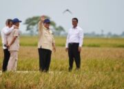 Presiden Prabowo: Indonesia Capai Swasembada Pangan, Ulang Sejarah Kejayaan