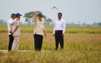 Presiden Prabowo: Indonesia Capai Swasembada Pangan, Ulang Sejarah Kejayaan