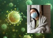Flu H3N2 Subclade K Masuk Indonesia, Kemenkes Sebut Tak Berbahaya