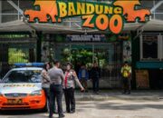 Kemenhut Cabut Izin Bandung Zoo, Satwa Dilindungi dalam Pengawasan Pemerintah