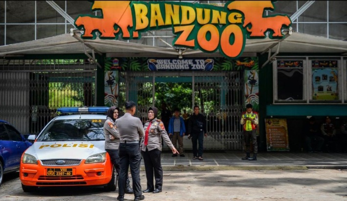 Kemenhut Cabut Izin Bandung Zoo, Satwa Dilindungi dalam Pengawasan Pemerintah