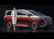 Byd Denza D9 New