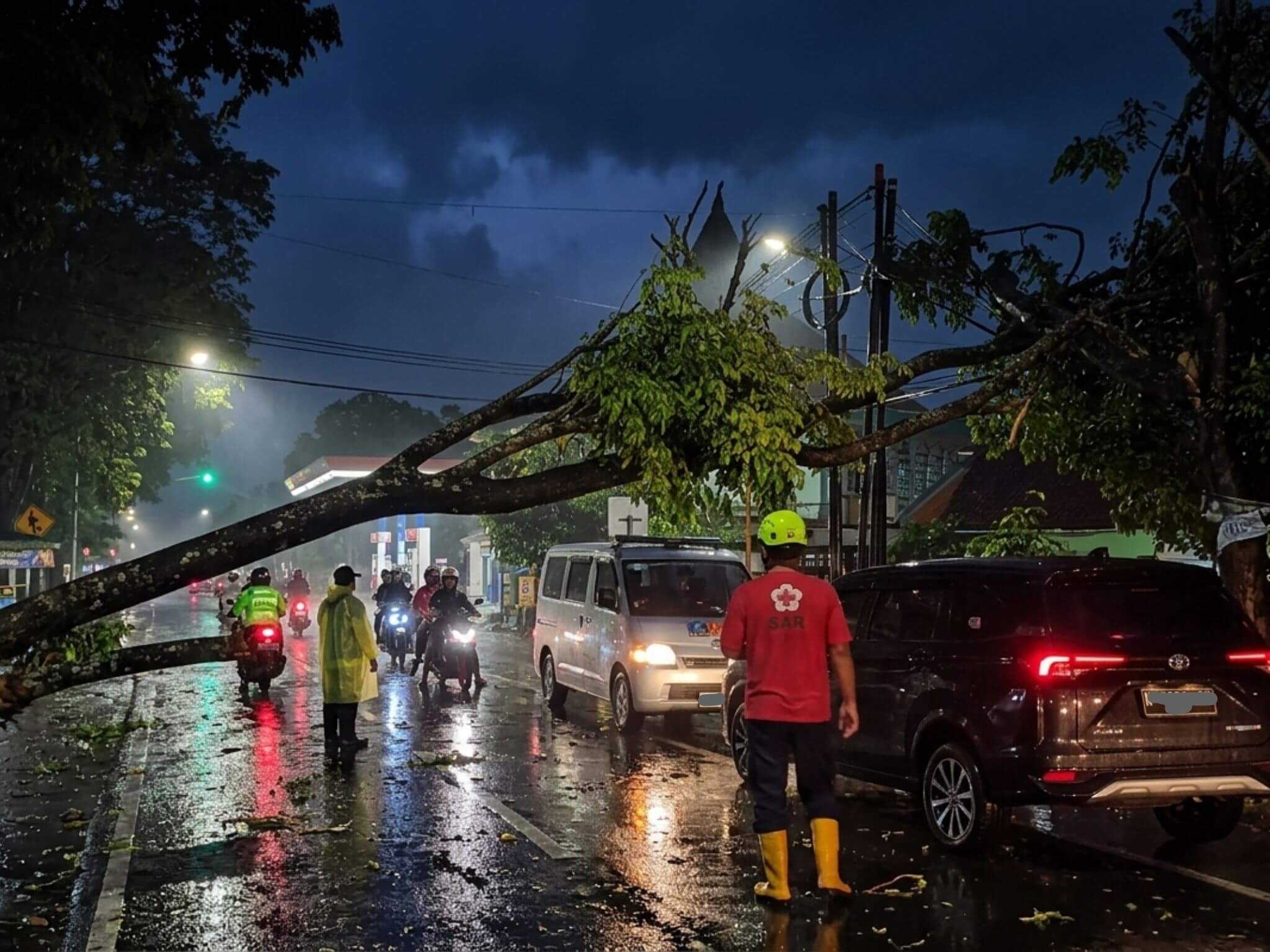 Malang Hujan Pohon Tumbang