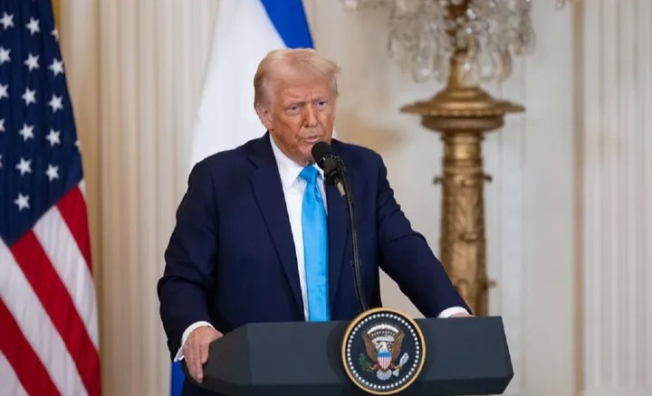 D.trump