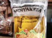 Harga Minyakita Naik, Pengamat Sebut Pemerintah Gagal Kendalikan Distribusi