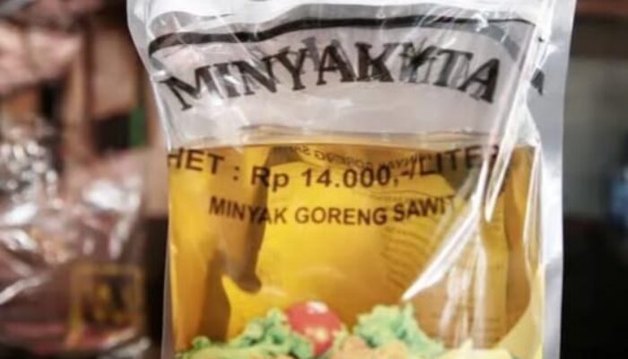 Minyakita Langka, Bulog Minta Kuota DMO Naik Jadi 65 Persen