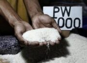 Stok Beras RI Tembus 5 Juta Ton, Mentan Pastikan Tertinggi Sepanjang Sejarah