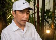 Joko Widodo Jokowi