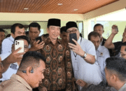 Jokowi Sebut MBZ Kakaknya, Sempat Telepon Tanya soal Perang hingga Harga Minyak Dunia
