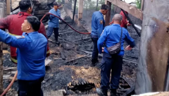 Kandang Ayam di Purbalingga Terbakar Habis, Pemilik Rugi Rp750 Juta